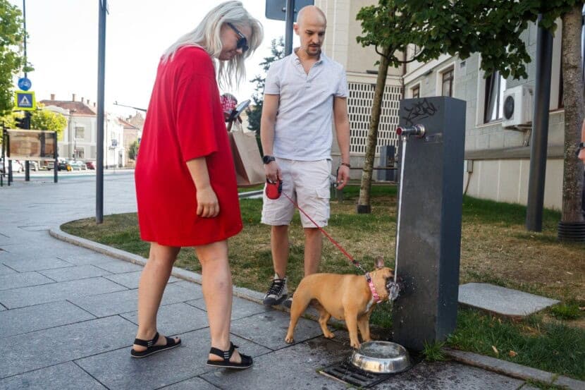 Cod Galben în Aproape Toată Țara - Maxime de 38°C Pe Parcurul Următoarelor Zile