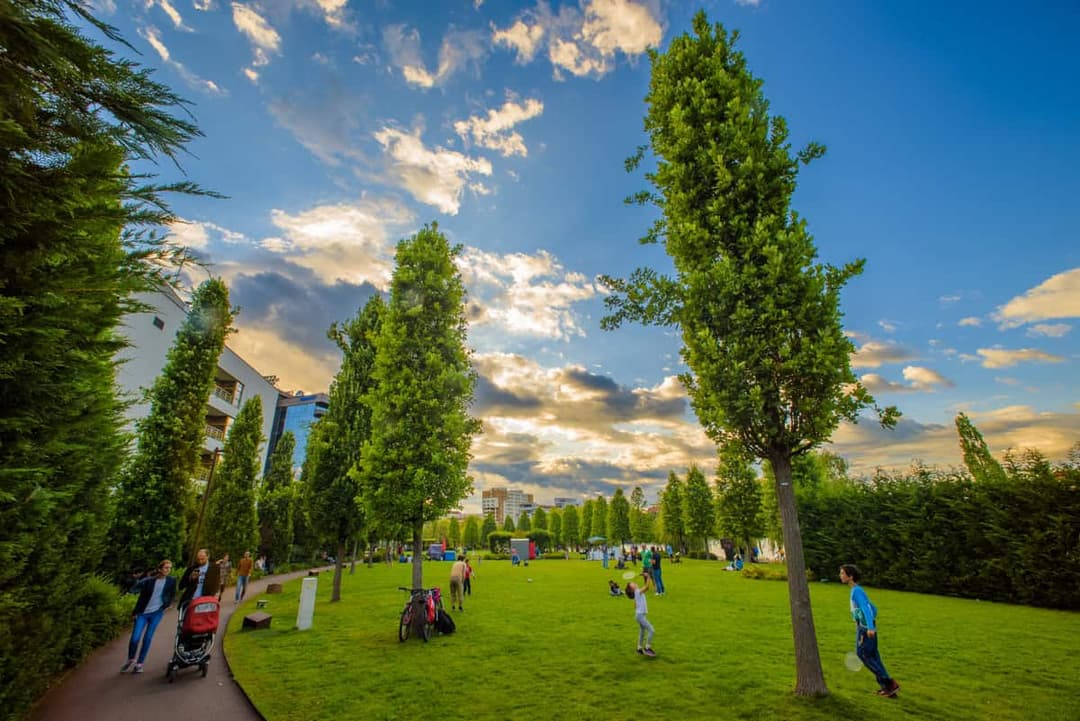 25 de ani de inovație verde, 18 hectare de grădini urbane și peste 80.000 de arbori și arbuști plantați de la zero
