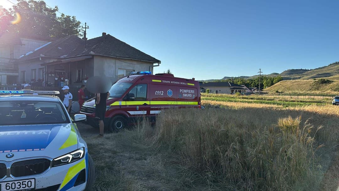 copil de 3 ani în plasament, lovit de mașină - un moment fatal de neatenție.