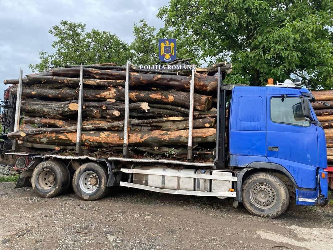 VIDEO. Polițiștii clujeni capturează hoț de lemne în Morlaca; camionul cu 13,3 mc de lemn confiscat
