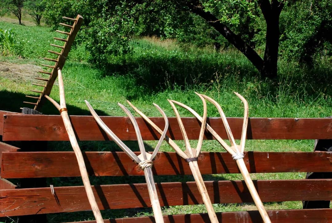 Pintilie Călător, la 27 iulie — Despărțirea Verii de Toamnă în Tradiția Satului Românesc