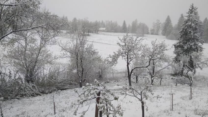  Cod Galben de Furtuni, Ploi Torențiale și Ninsori în Zona Montană, în Vigor Până Sâmbătă.