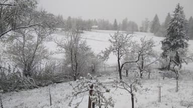  Cod Galben de Furtuni, Ploi Torențiale și Ninsori în Zona Montană, în Vigor Până Sâmbătă.