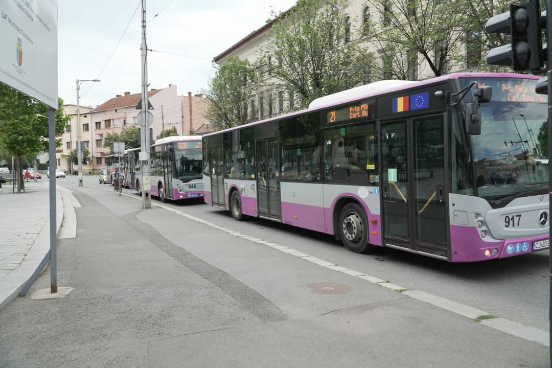  Detalii și orare 2024-2025