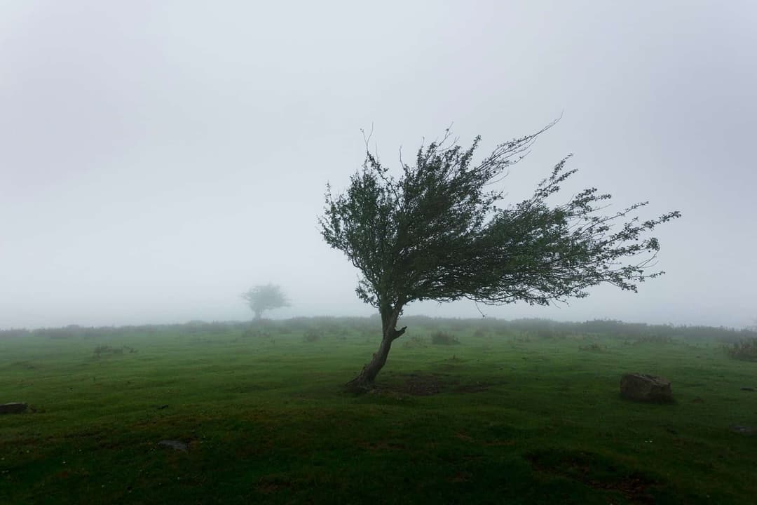  Alertă Meteo Cod Galben - Averse, Grindină și Vânturi Puternice Până la 90 km/h Pe 15 Mai