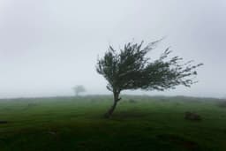  Alertă Meteo Cod Galben - Averse, Grindină și Vânturi Puternice Până la 90 km/h Pe 15 Mai