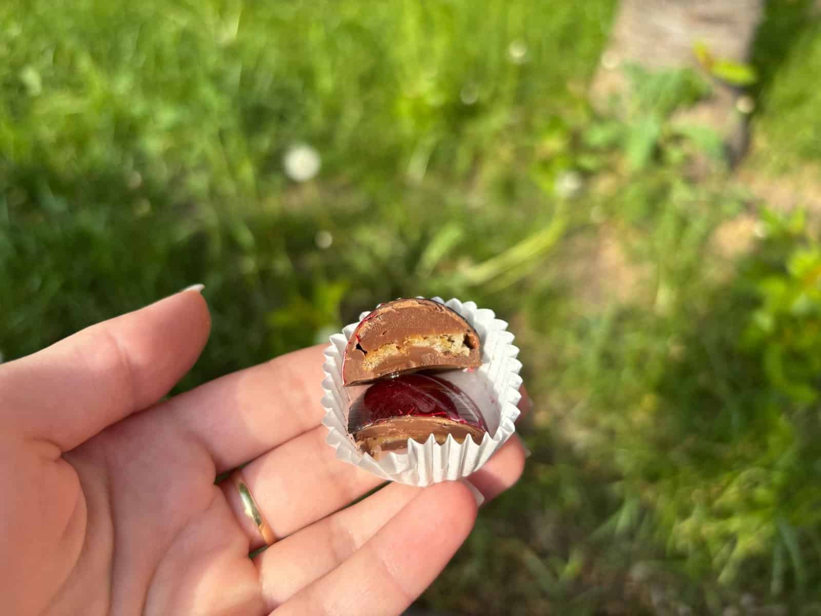  Praline Inedite cu Brânză de Burduf și Ciocolată, Deliciu Gourmet la Cluj – Un Melanj de Tradiție și Creativitate