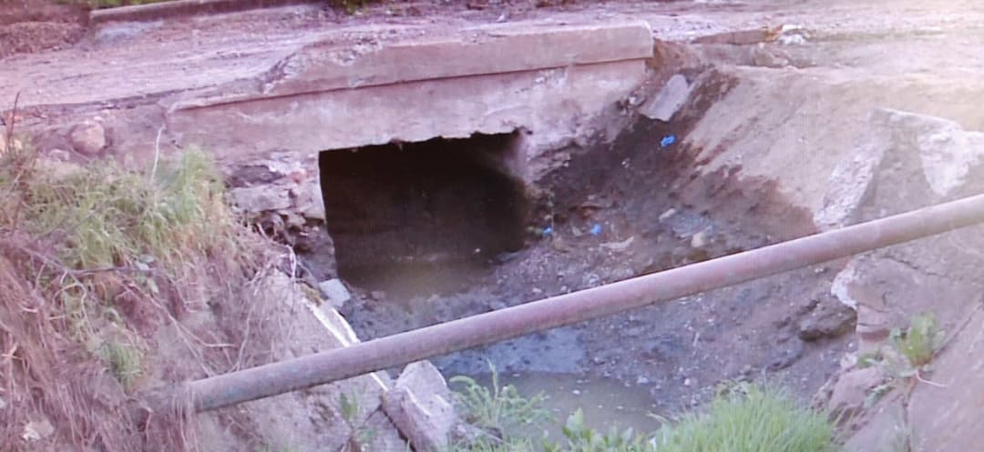  Doi frați morți pe strada Fildului. Cum s-a petrecut incidentul care putea fi evitat? Află detalii emoționante și concluzii cutremurătoare!