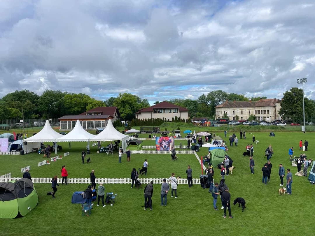  V-a ediție Napoca Dog Show deschisă la Jucu Arena - Sărbătoare canină în acest weekend!