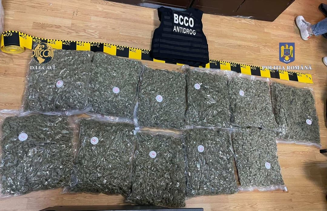  Traficant prins cu peste 11 kg de canabis la Cluj-Napoca - Operațiune fulger a polițiștilor și D.I.I.C.O.T.