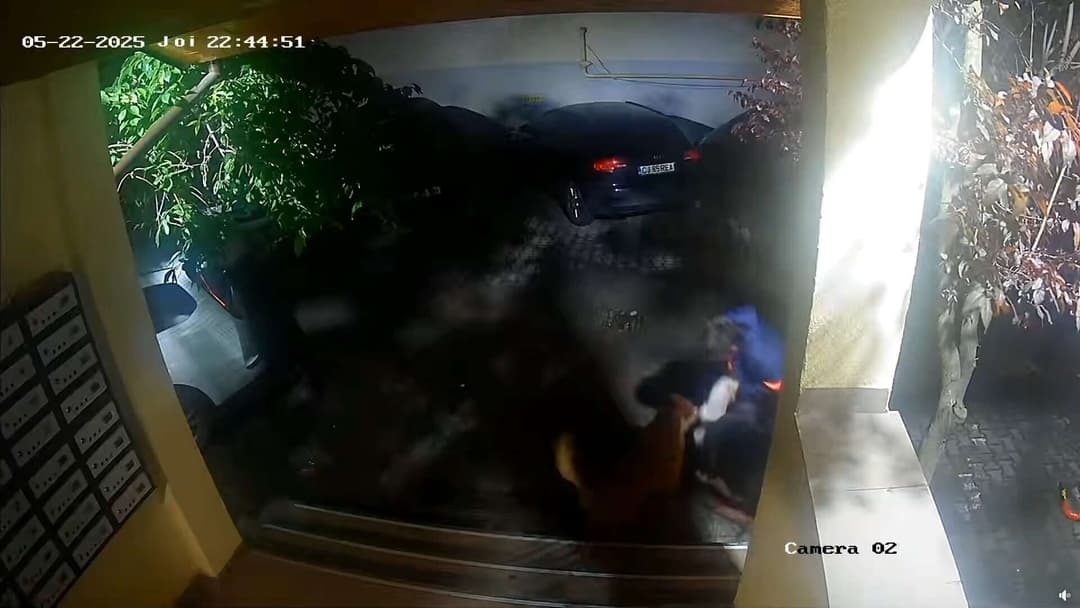  Adolescent și bichon atacați în Florești de doi câini agresivi, chiar în fața blocului! Descoperă detaliile incidentului violent!