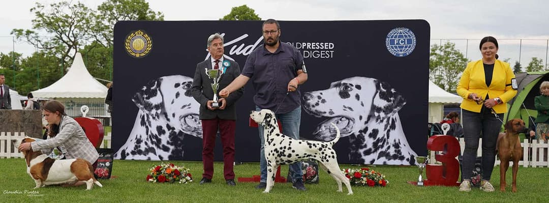 Dresaj Canin și Expoziție de Elită la Napoca Dog Show, 24-25 Mai la Jucu Arena!