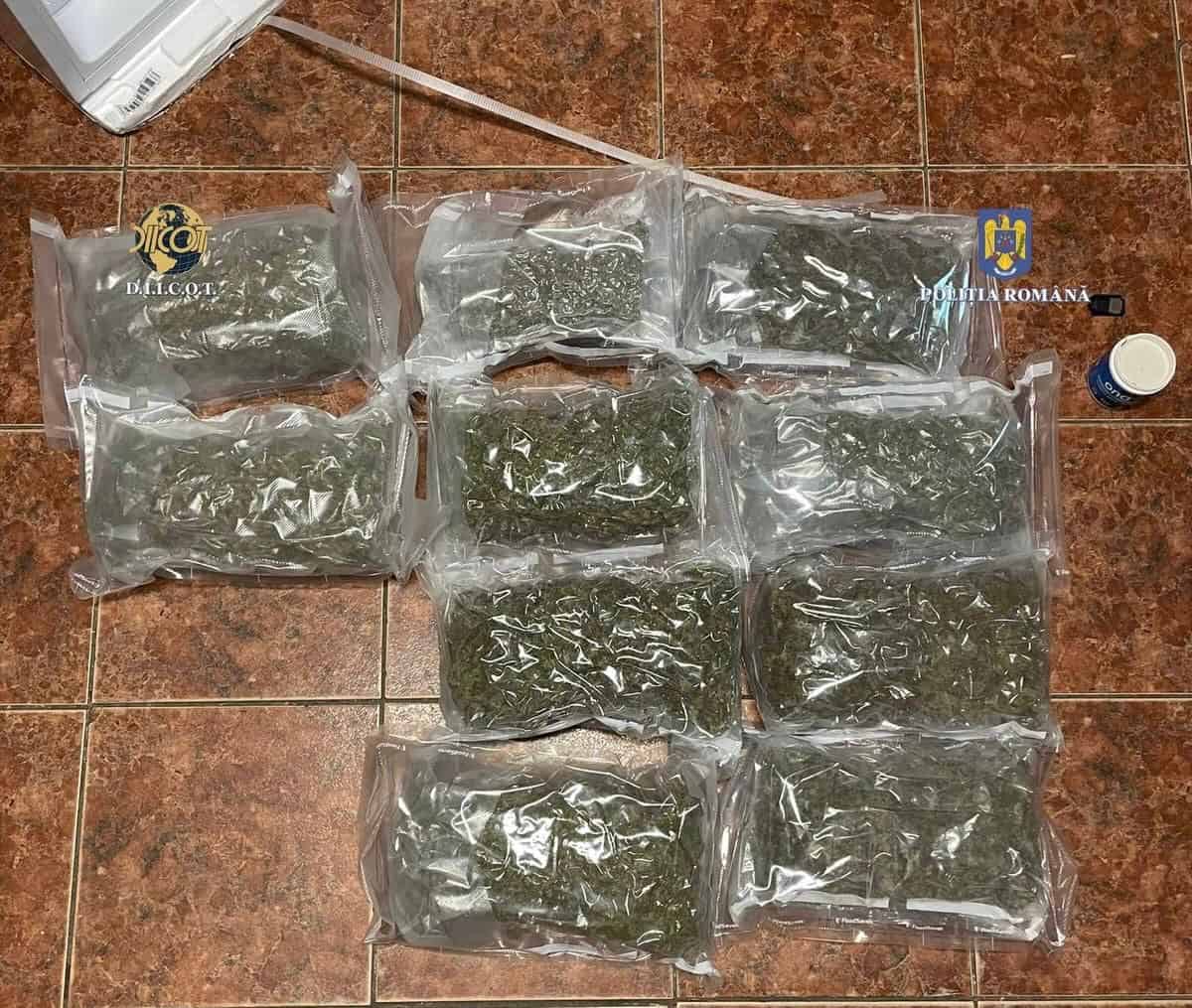  Cannabisul de 50.000 de euro, ascuns într-un mini-frigider, ajunge la Cluj prin curier – al doilea caz în câteva zile