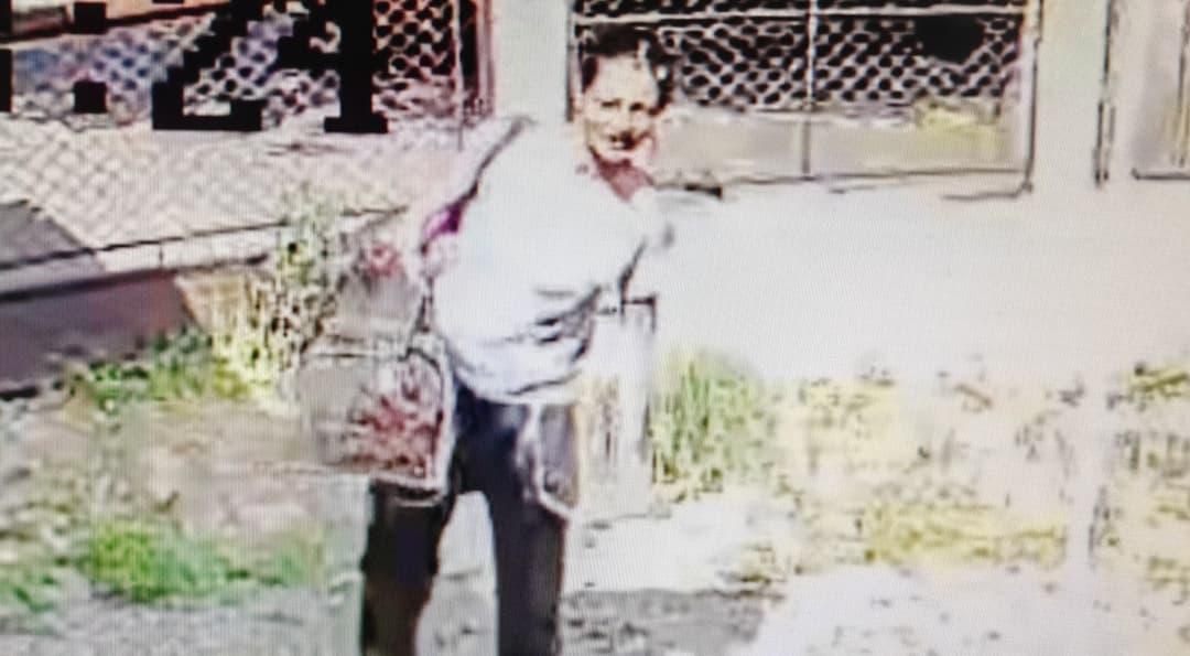  O Femeie Fură PET-uri din Curtea unei Case din Cluj - Plângere Depusă la Poliție!